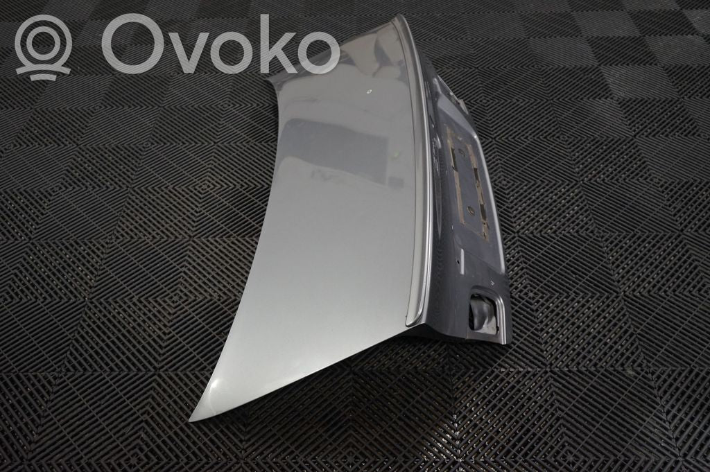 Tailgate/trunk/boot lid (4)