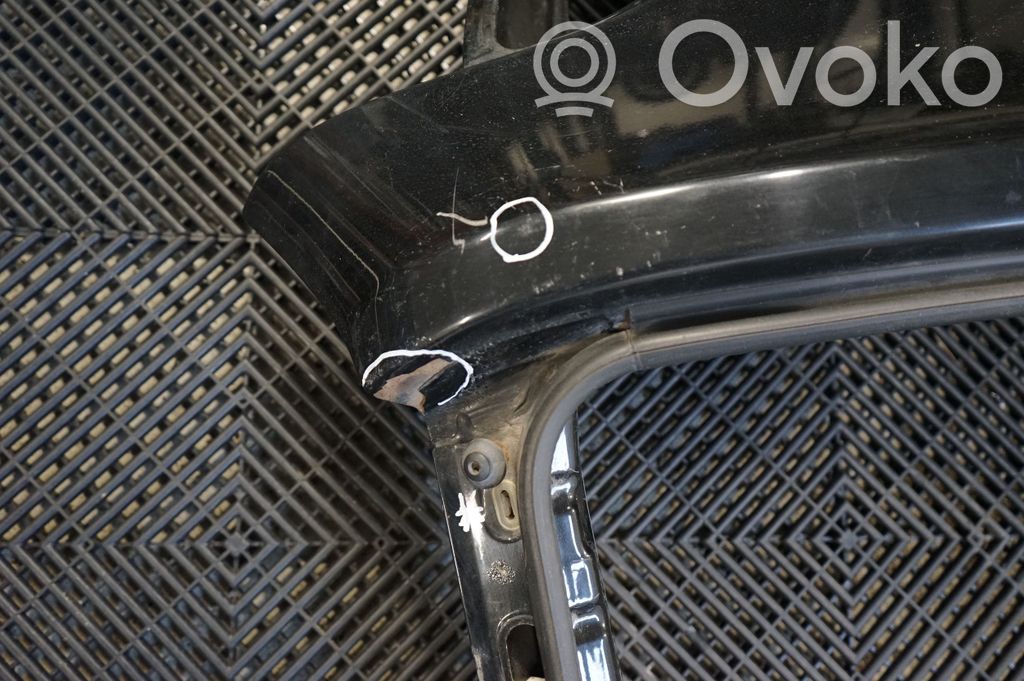 Tailgate/trunk/boot lid (10)