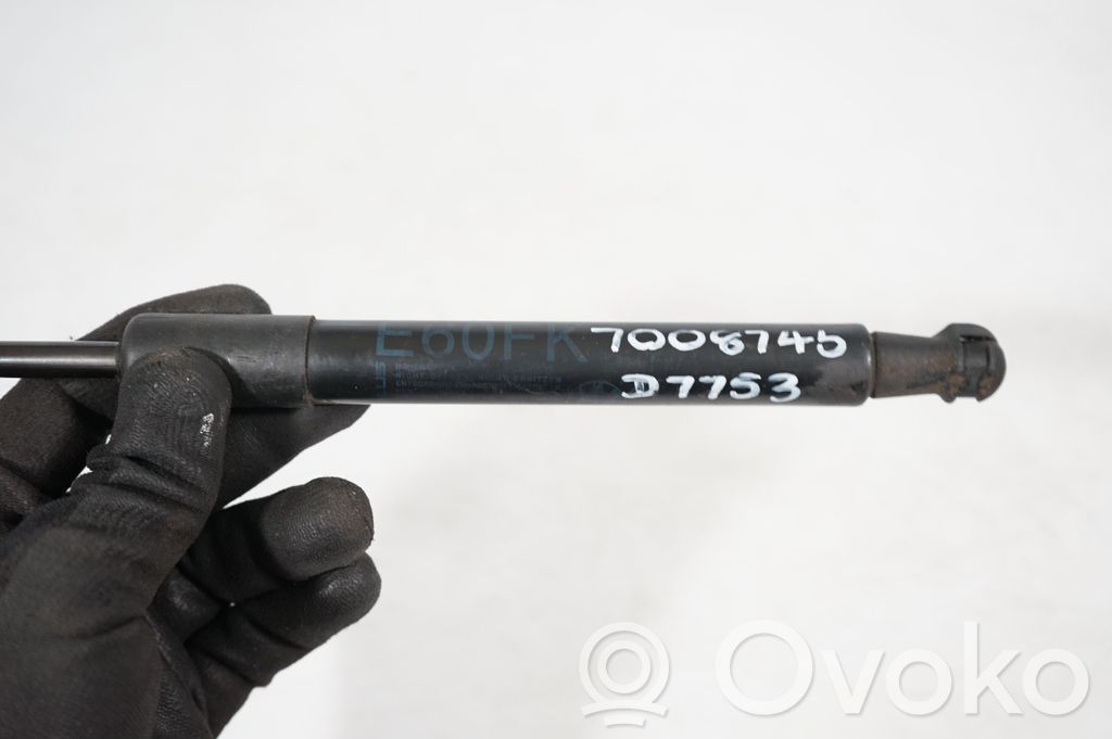 Front bonnet/hood damper/strut (7)