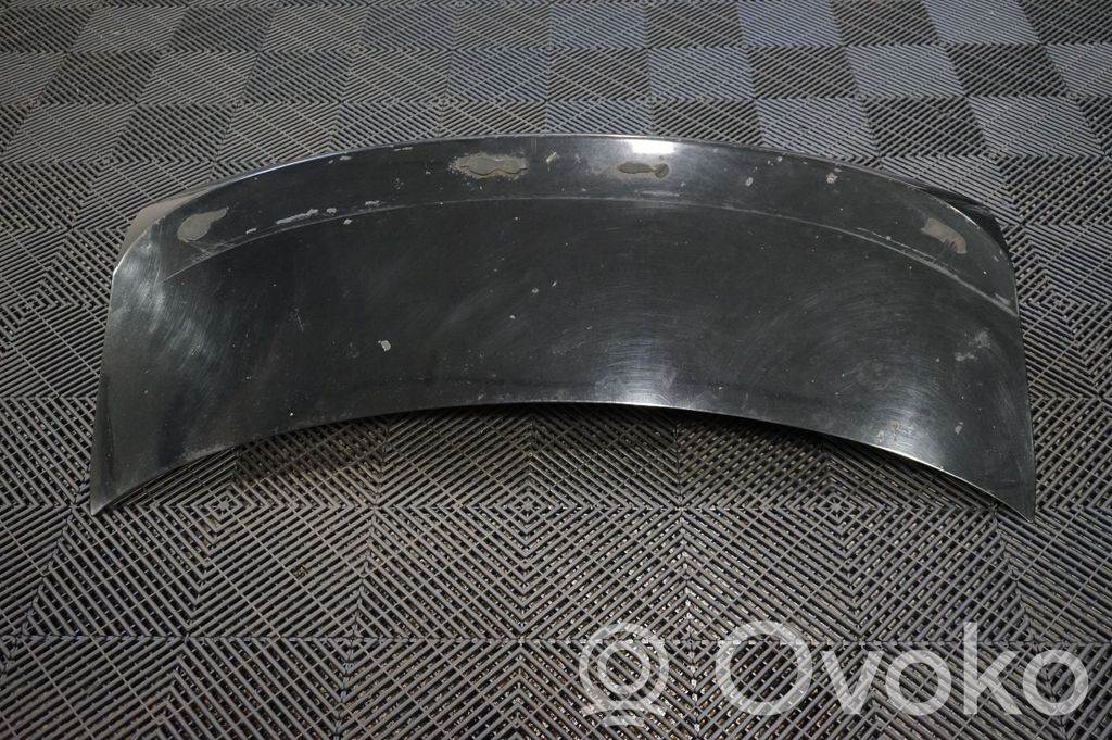 Tailgate/trunk/boot lid (4)