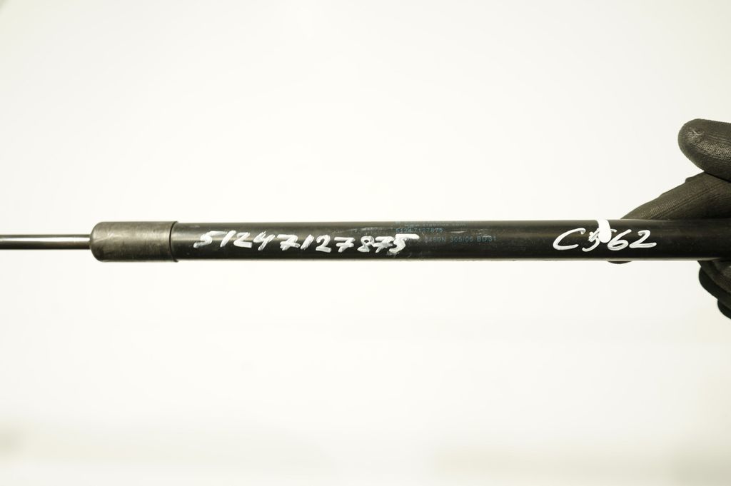 Tailgate/trunk strut/damper (8)