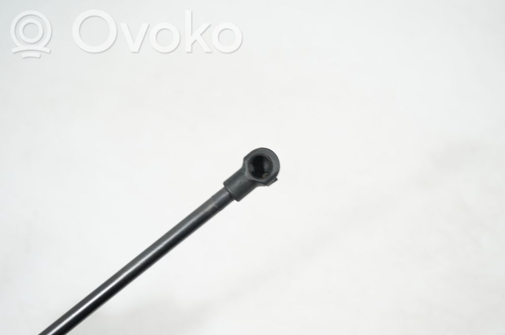 Front bonnet/hood damper/strut (5)