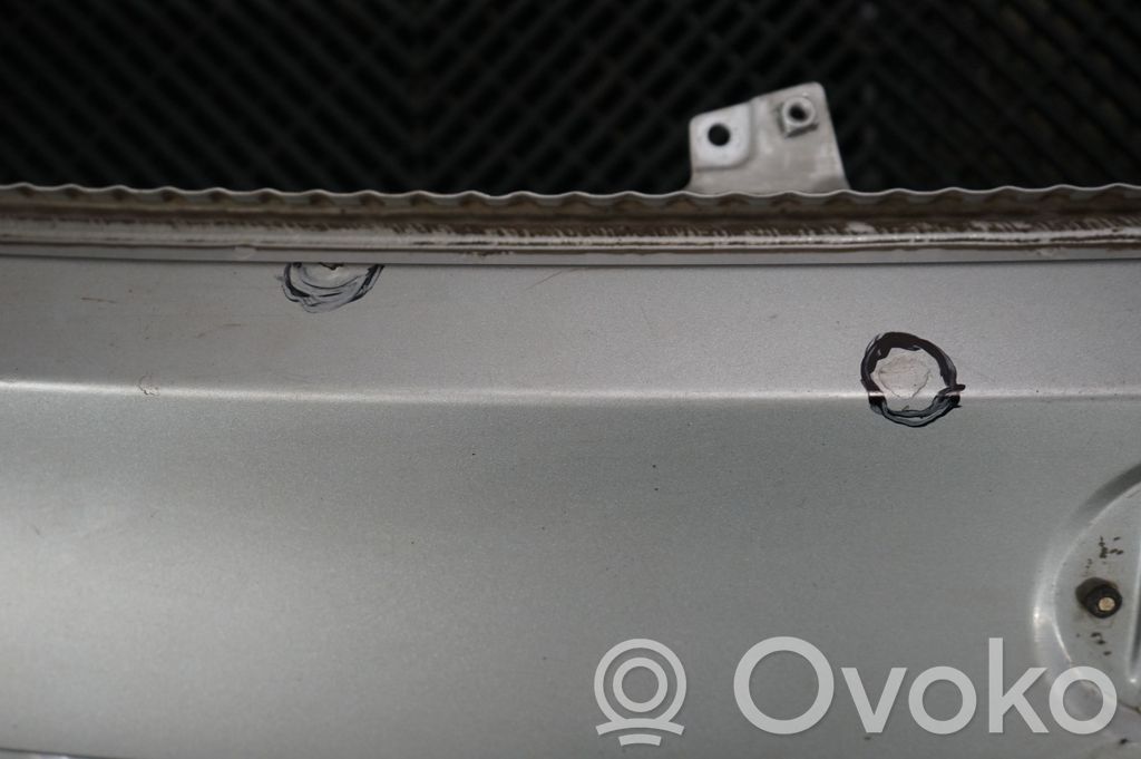 Tailgate/trunk/boot lid (9)