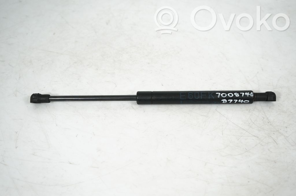 Front bonnet/hood damper/strut