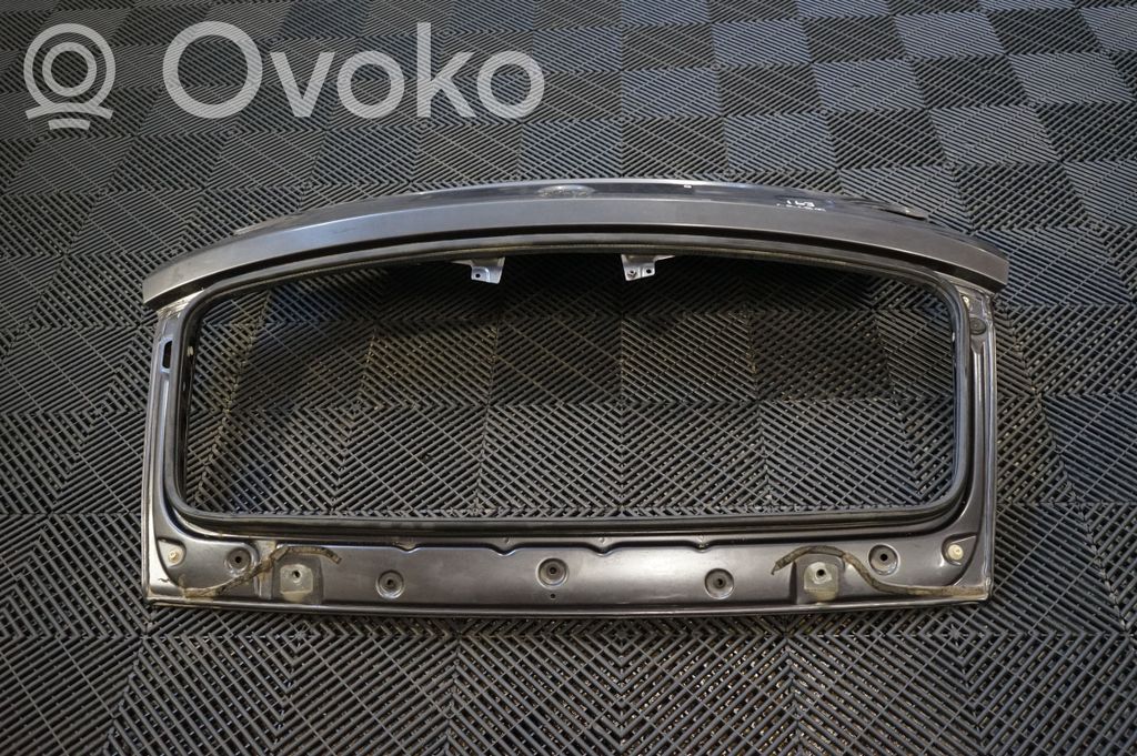 Tailgate/trunk/boot lid (3)