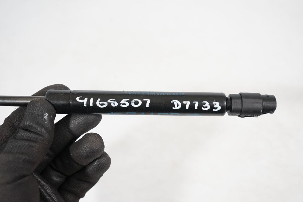 Tailgate/trunk strut/damper (7)