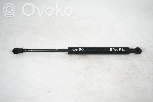 Front bonnet/hood damper/strut