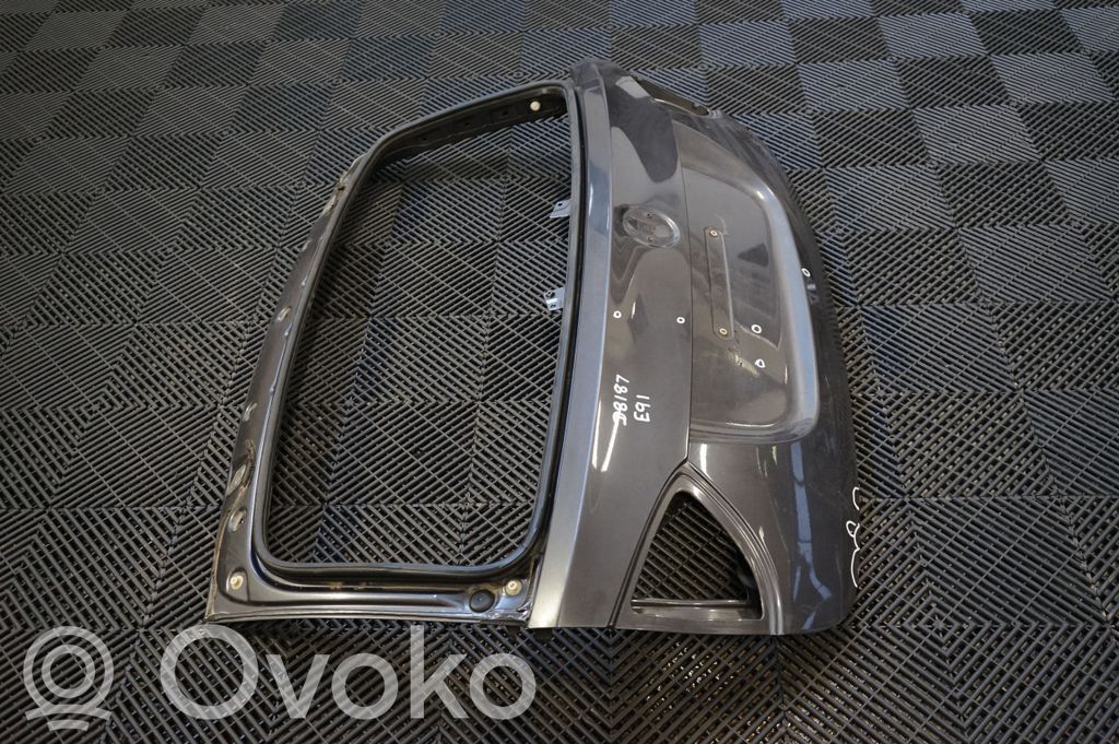 Tailgate/trunk/boot lid (4)
