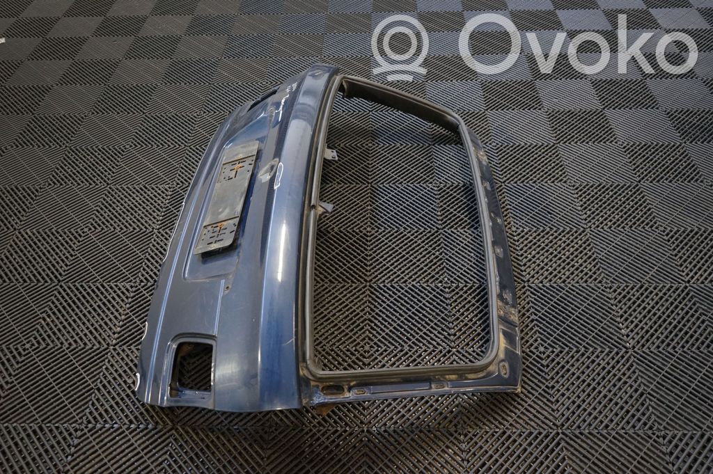 Tailgate/trunk/boot lid (2)