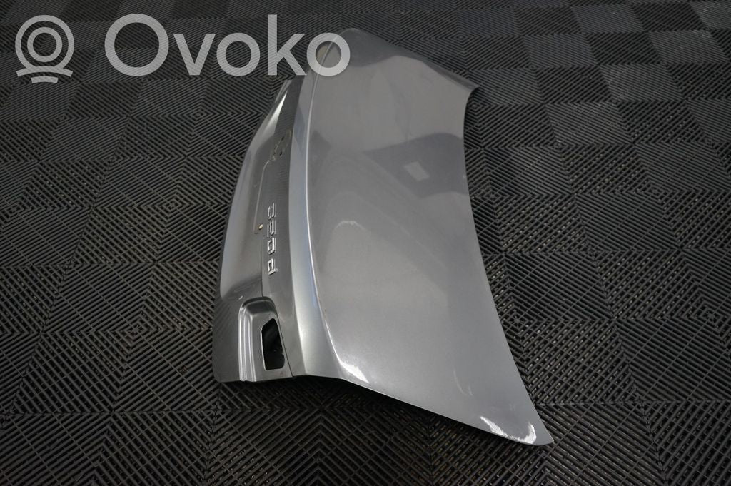 Tailgate/trunk/boot lid (2)