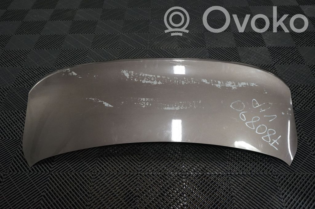 Tailgate/trunk/boot lid (3)