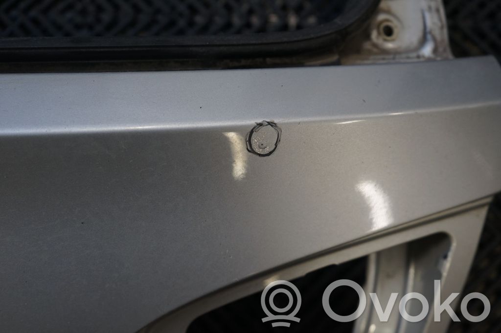 Tailgate/trunk/boot lid (8)
