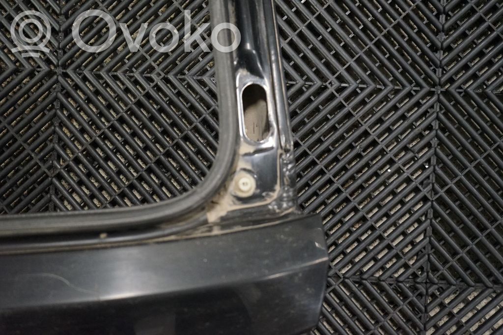 Tailgate/trunk/boot lid (10)