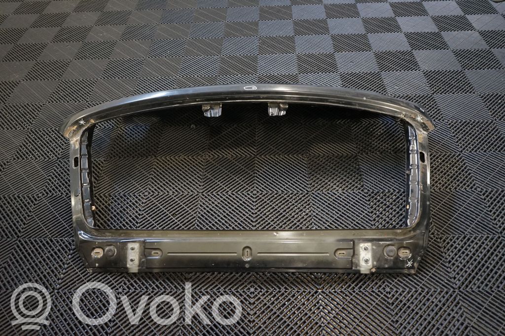 Tailgate/trunk/boot lid (2)