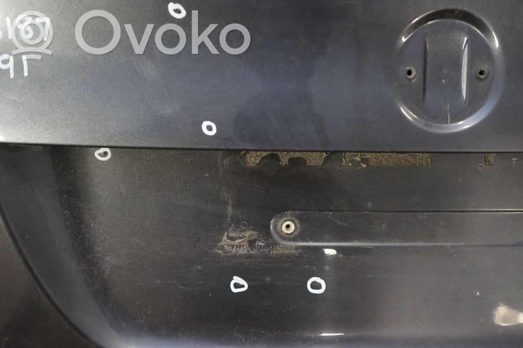 Tailgate/trunk/boot lid (10)