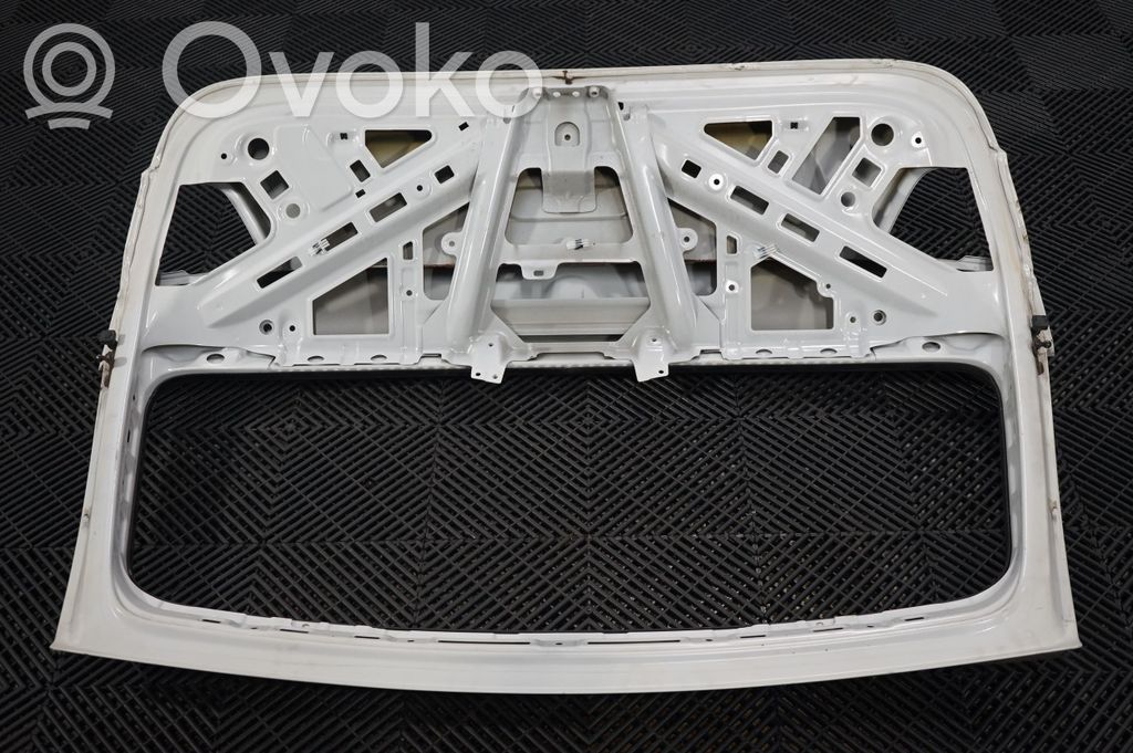 Tailgate/trunk/boot lid (5)