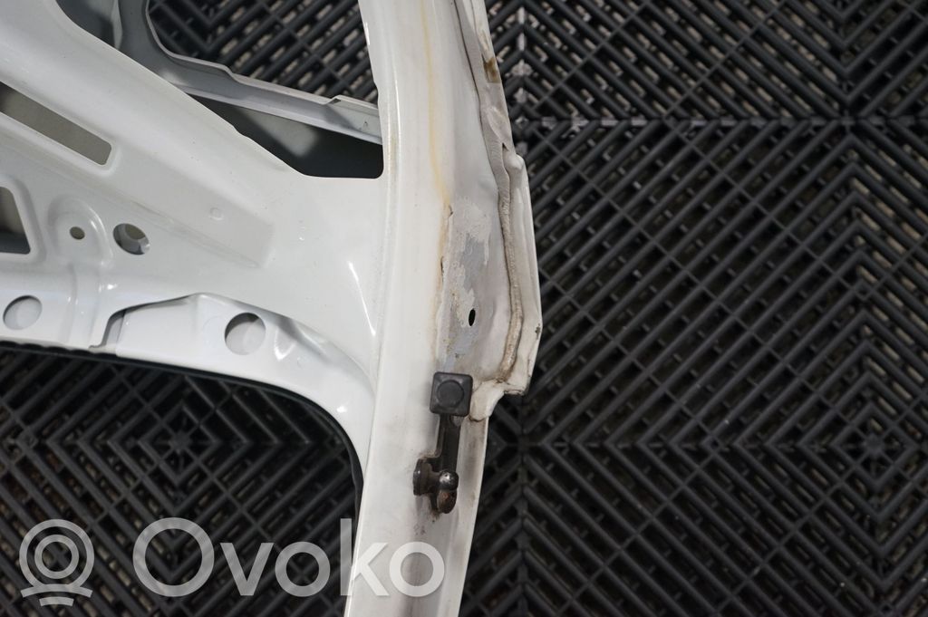 Tailgate/trunk/boot lid (7)