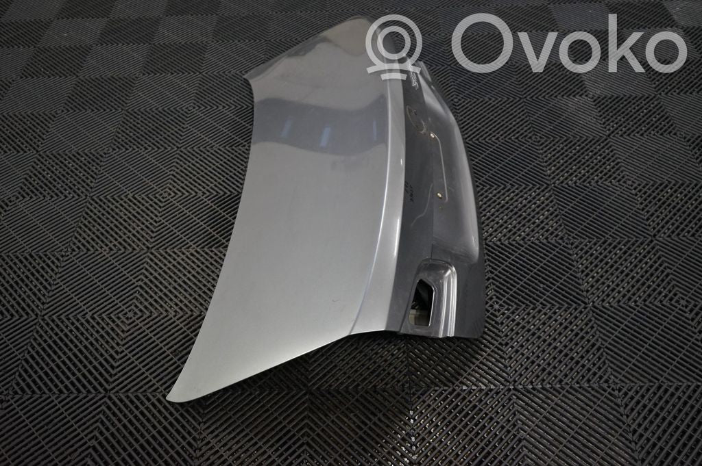 Tailgate/trunk/boot lid (4)