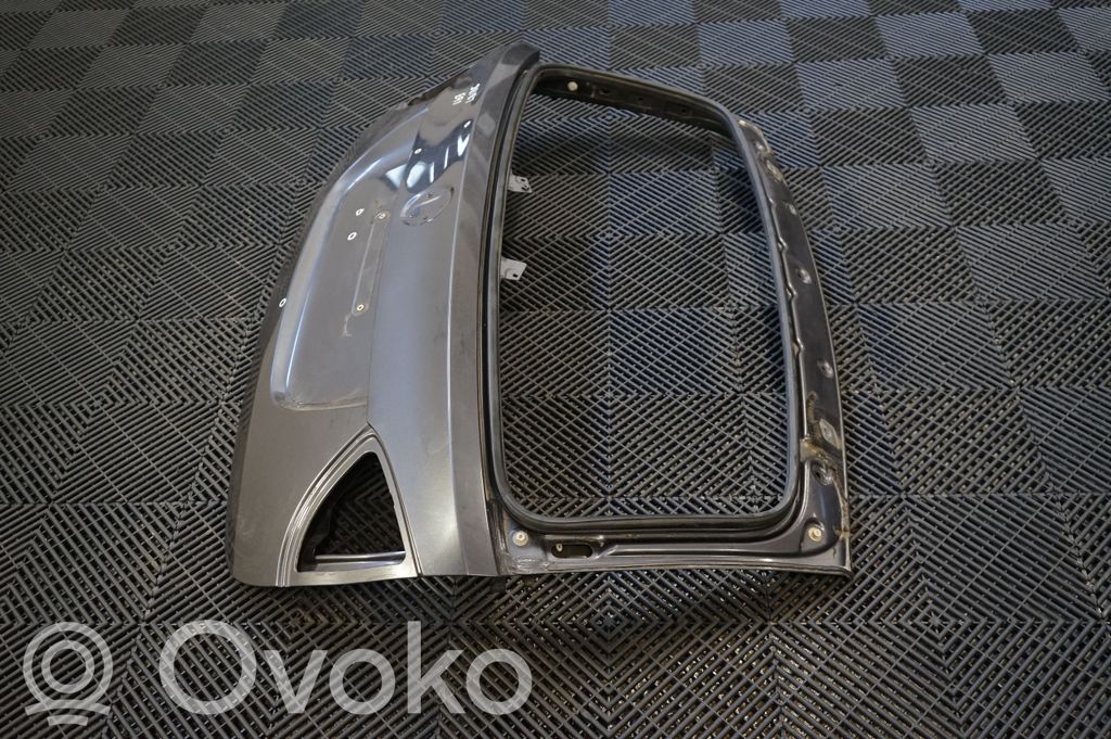 Tailgate/trunk/boot lid (2)