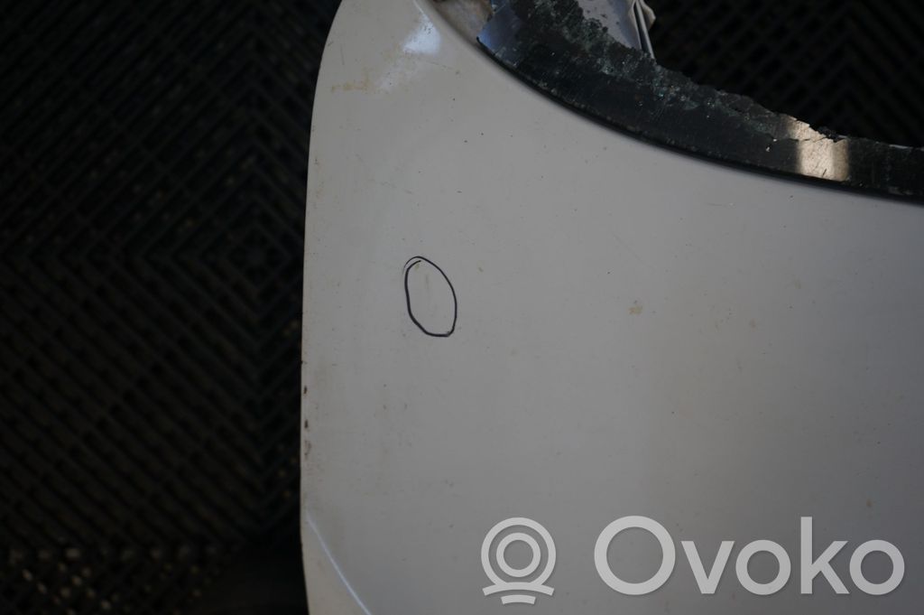 Tailgate/trunk/boot lid (8)