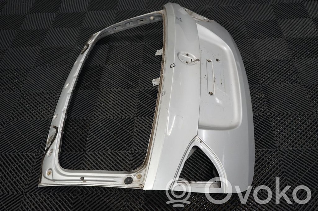 Tailgate/trunk/boot lid (4)
