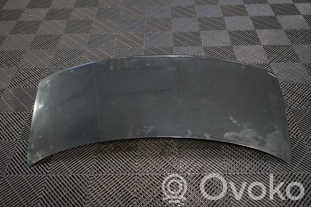 Tailgate/trunk/boot lid (3)