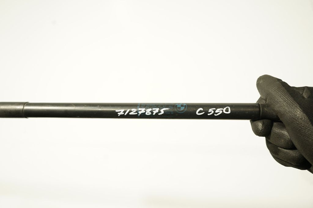 Tailgate/trunk strut/damper (8)
