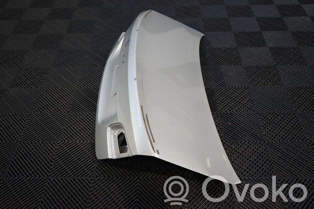 Tailgate/trunk/boot lid (2)