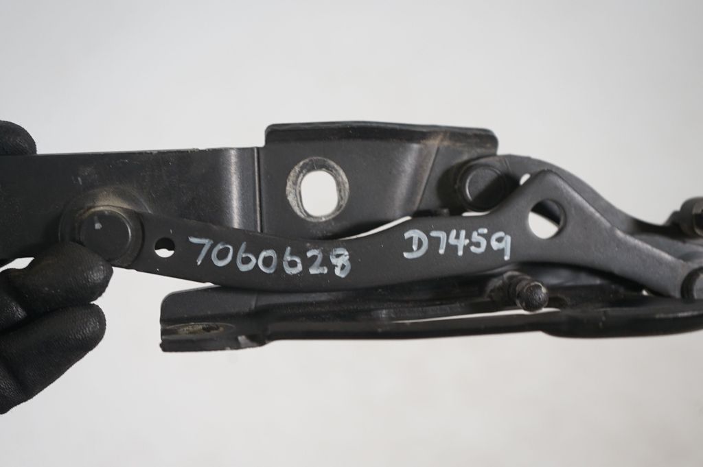 Tailgate/trunk/boot hinge (8)