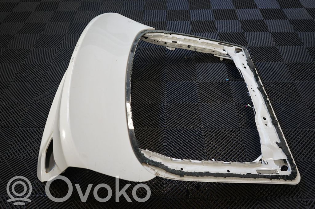Tailgate/trunk/boot lid (2)