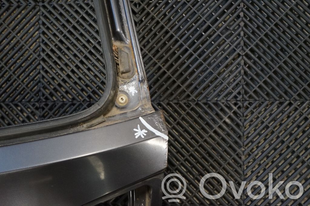 Tailgate/trunk/boot lid (12)