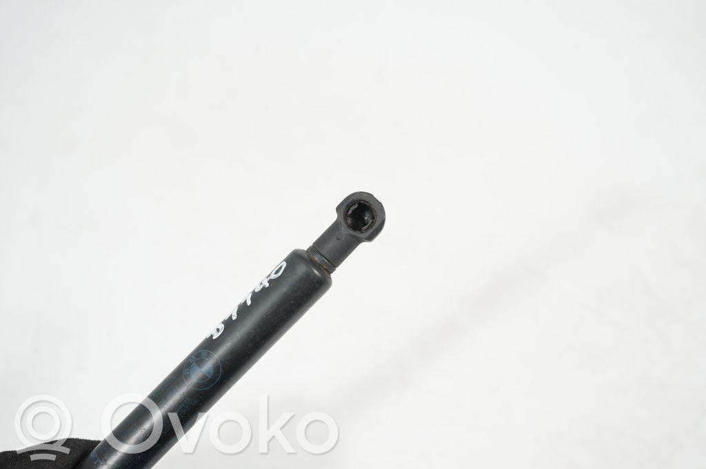 Front bonnet/hood damper/strut (6)