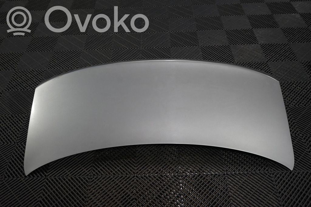 Tailgate/trunk/boot lid (3)