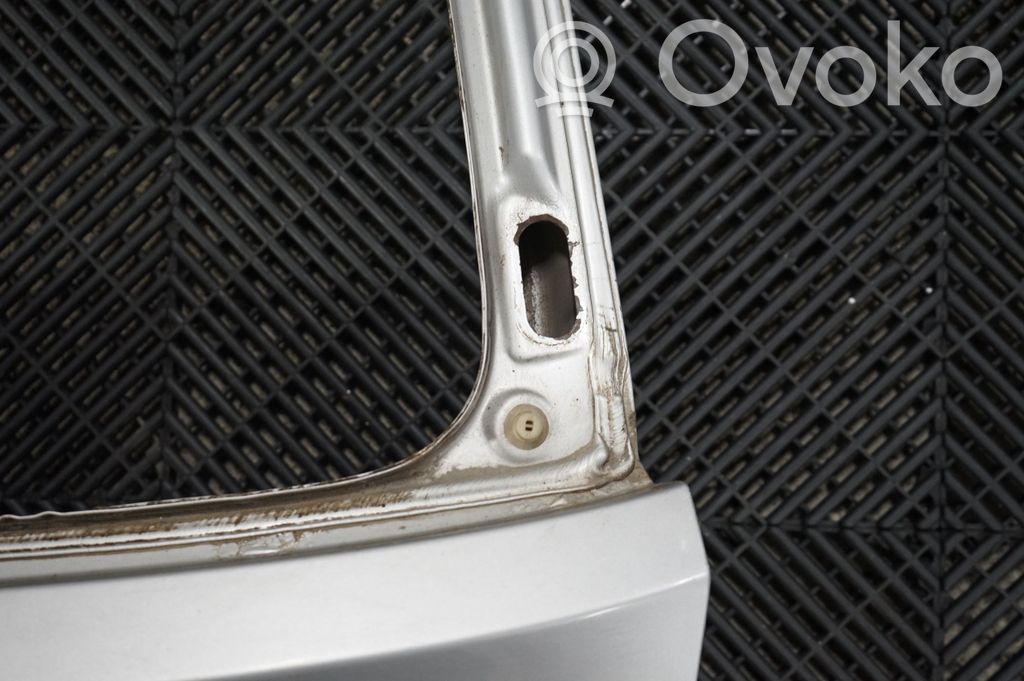 Tailgate/trunk/boot lid (11)