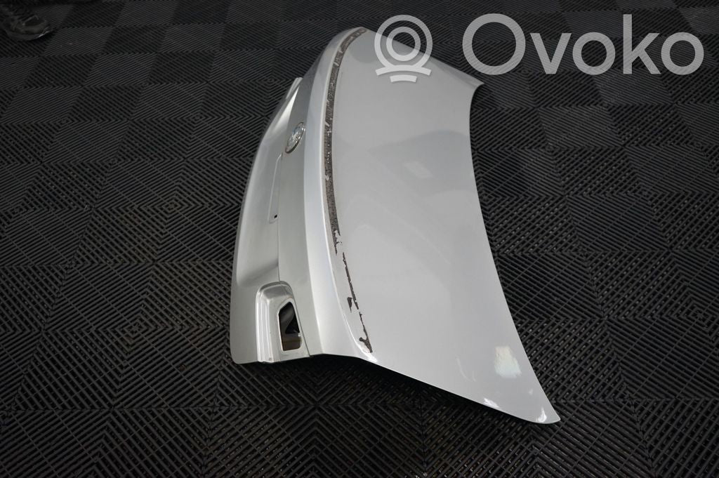 Tailgate/trunk/boot lid (2)