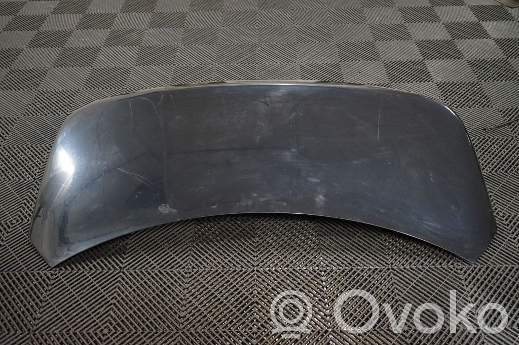 Tailgate/trunk/boot lid (3)