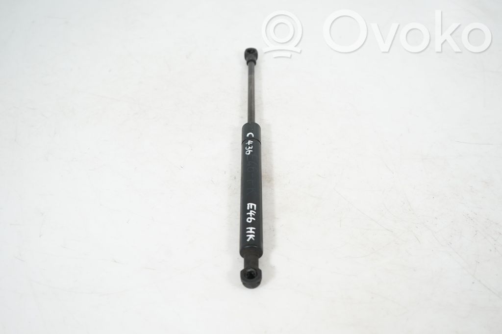 Front bonnet/hood damper/strut (2)