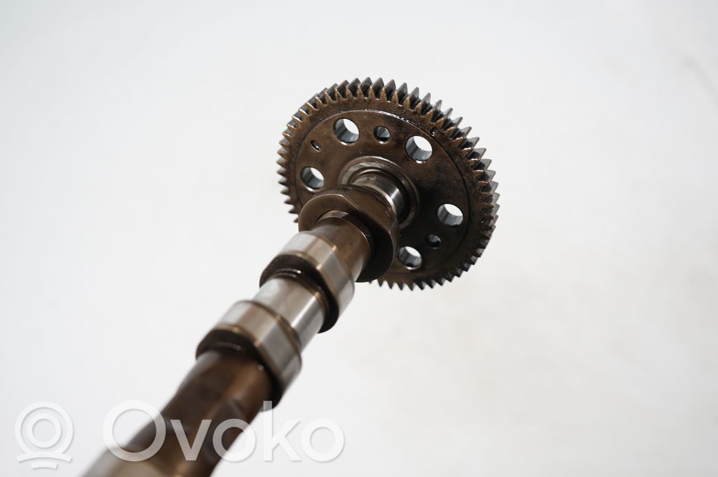 Rear differential (5)