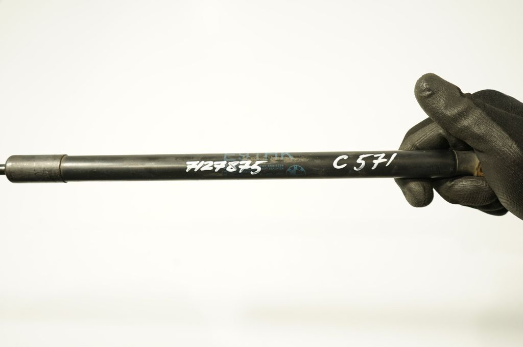 Tailgate/trunk strut/damper (8)