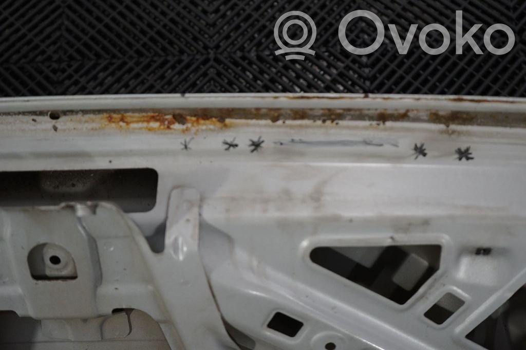 Tailgate/trunk/boot lid (8)