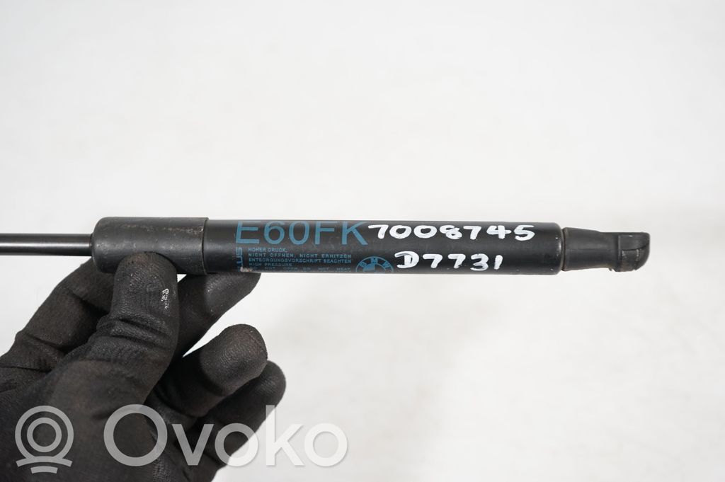 Front bonnet/hood damper/strut (7)