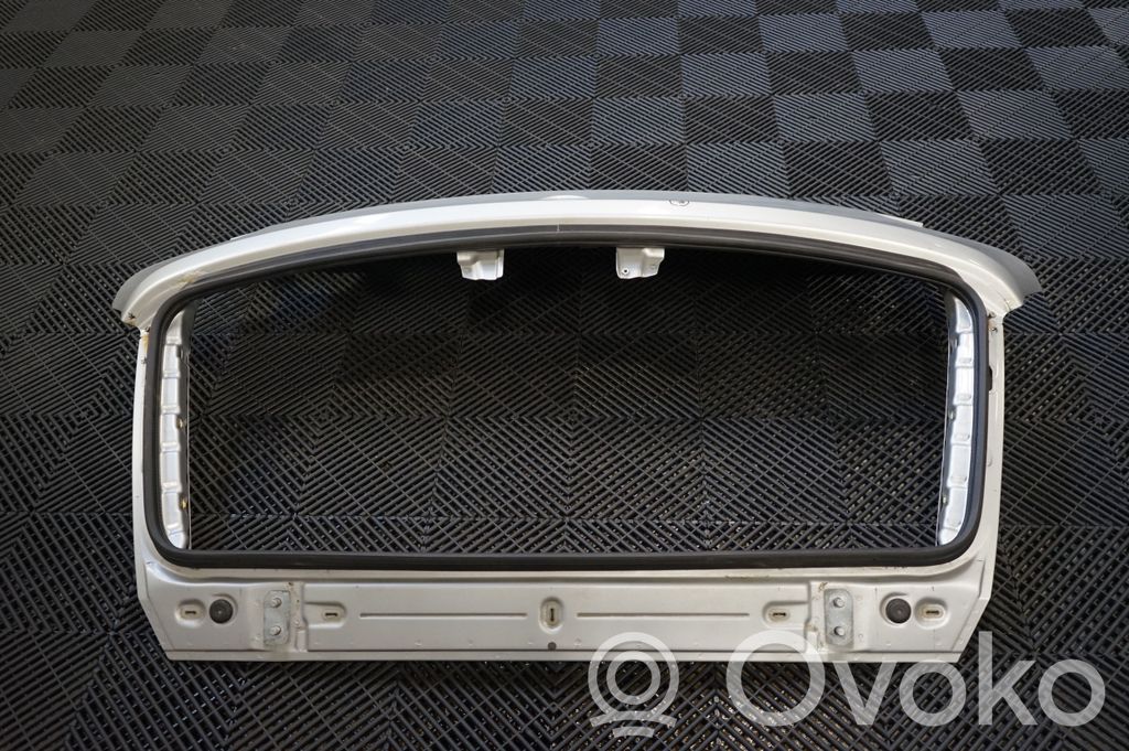 Tailgate/trunk/boot lid (3)