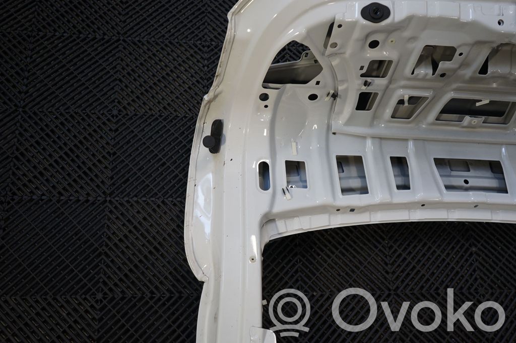 Tailgate/trunk/boot lid (6)