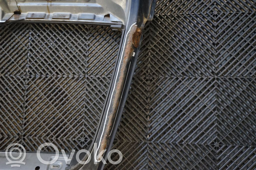 Tailgate/trunk/boot lid (10)