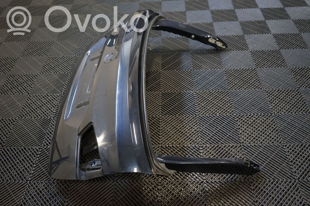 Tailgate/trunk/boot lid (2)