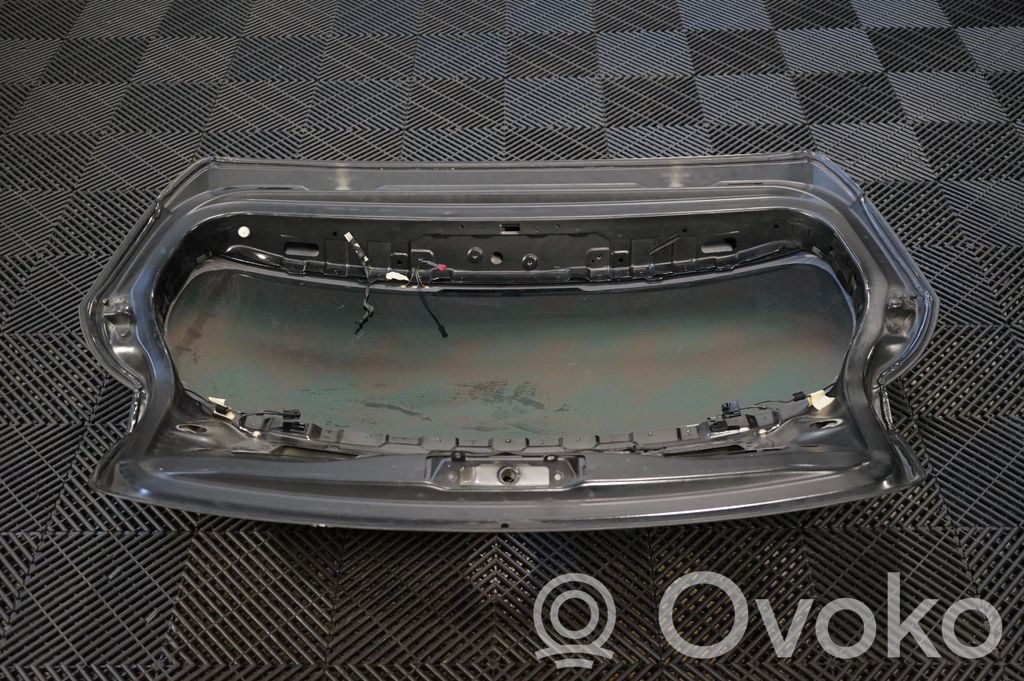 Tailgate/trunk/boot lid (4)