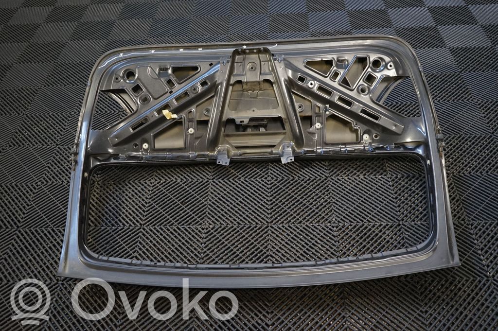 Tailgate/trunk/boot lid (5)