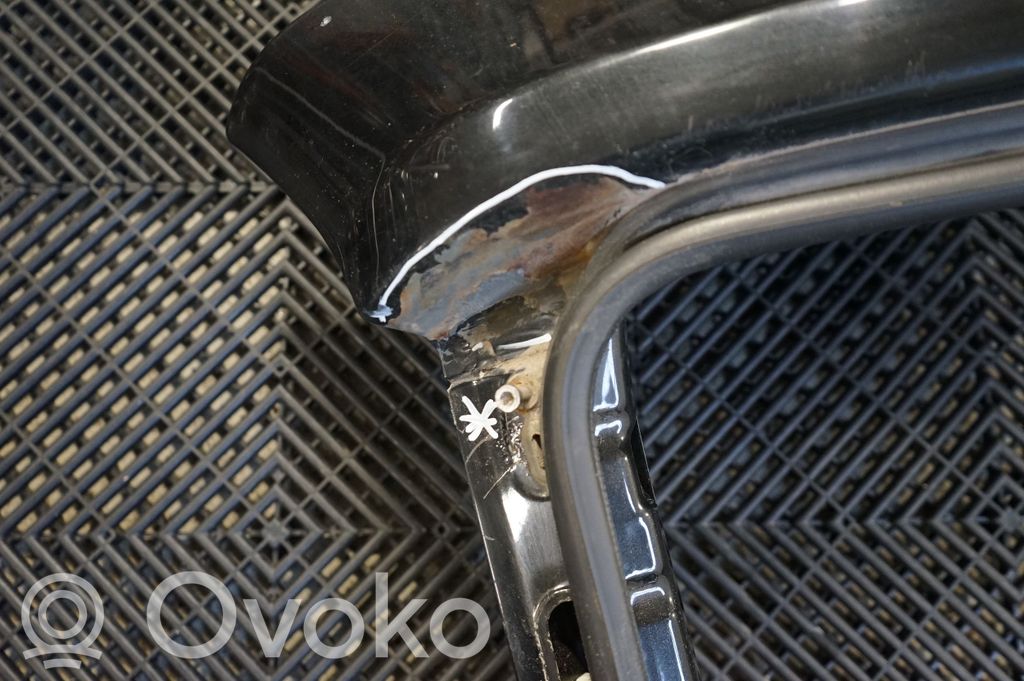 Tailgate/trunk/boot lid (9)