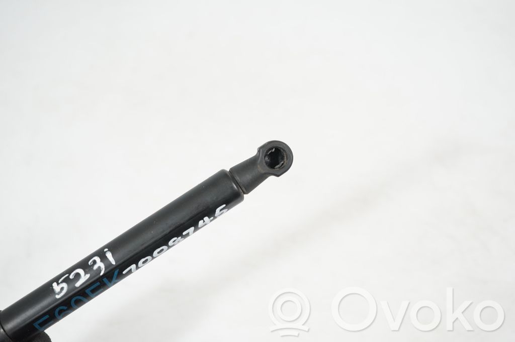 Front bonnet/hood damper/strut (6)