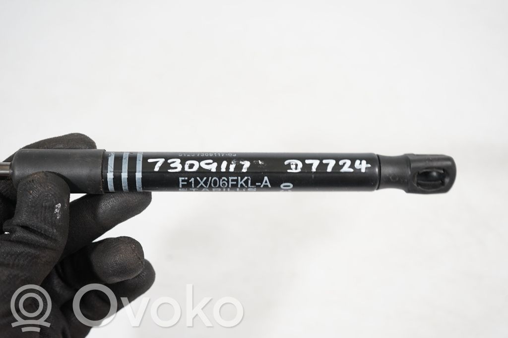 Front bonnet/hood damper/strut (7)